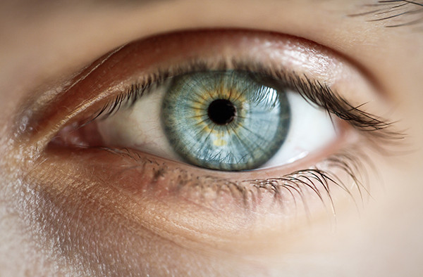 eyes
